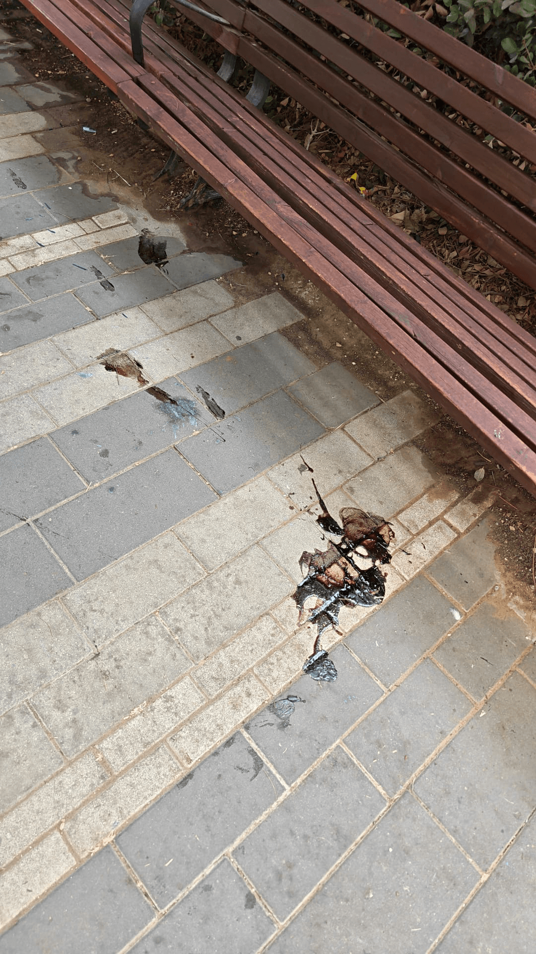 צואת כלבים - תיעוד 6