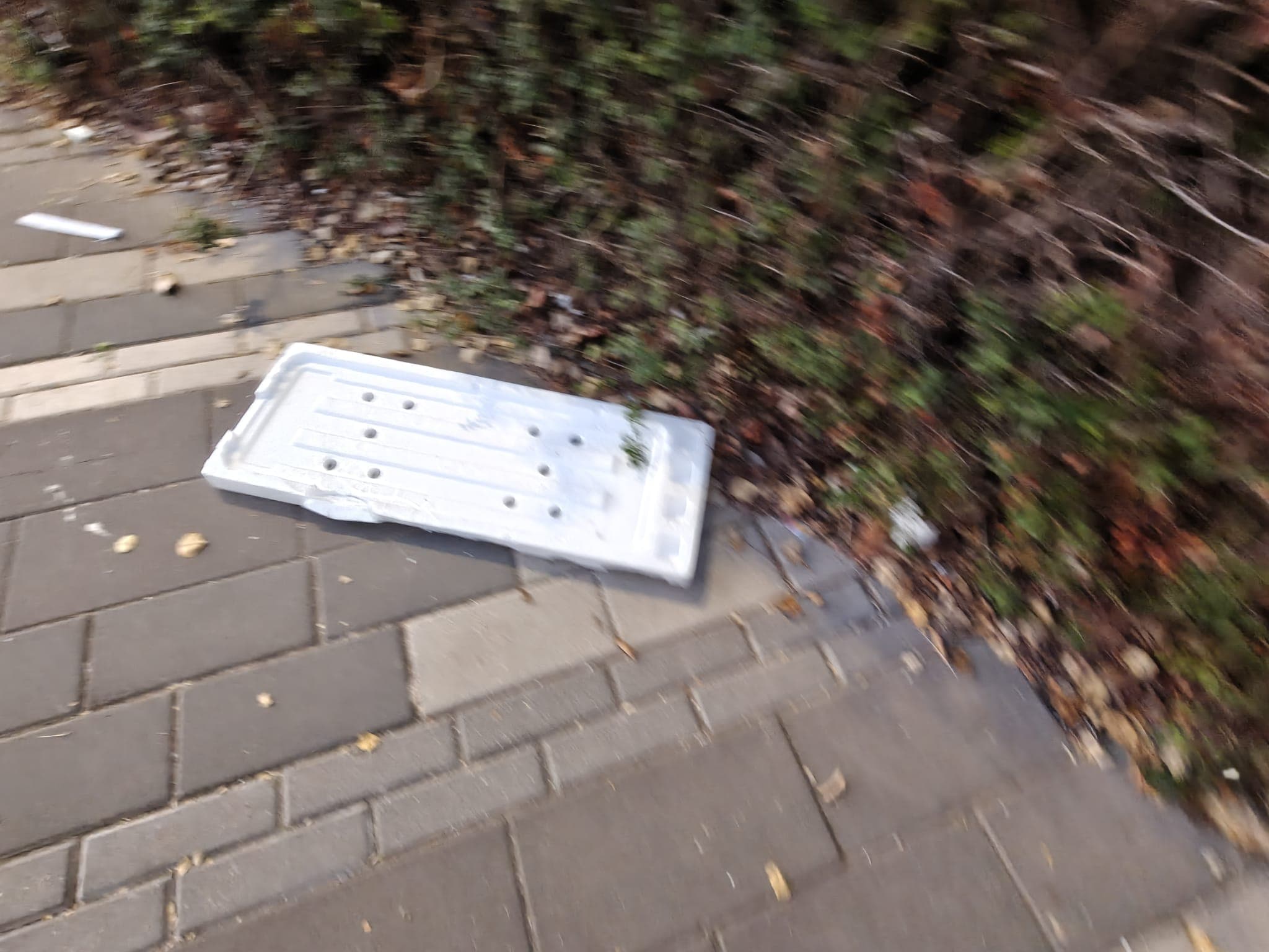 פסולת נוספת על הרצפה