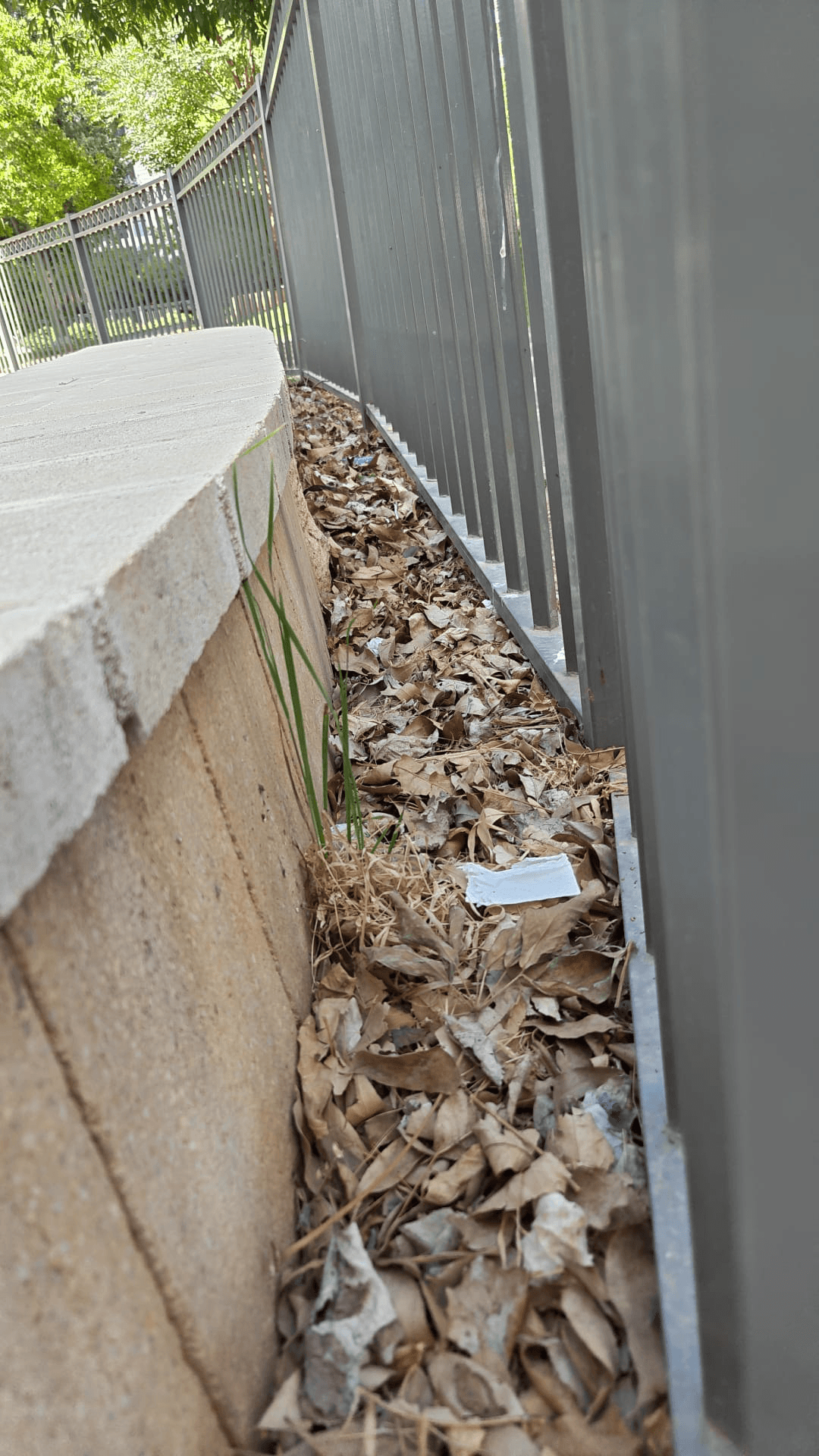 לכלוך נדחף הצידה