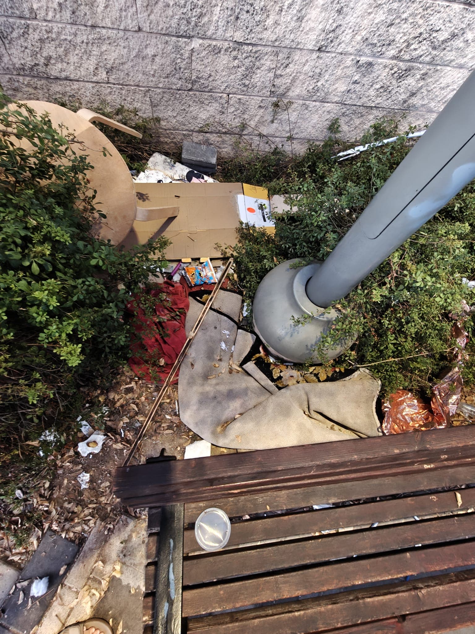 פסולת מוסתרת מאחורי צמחים