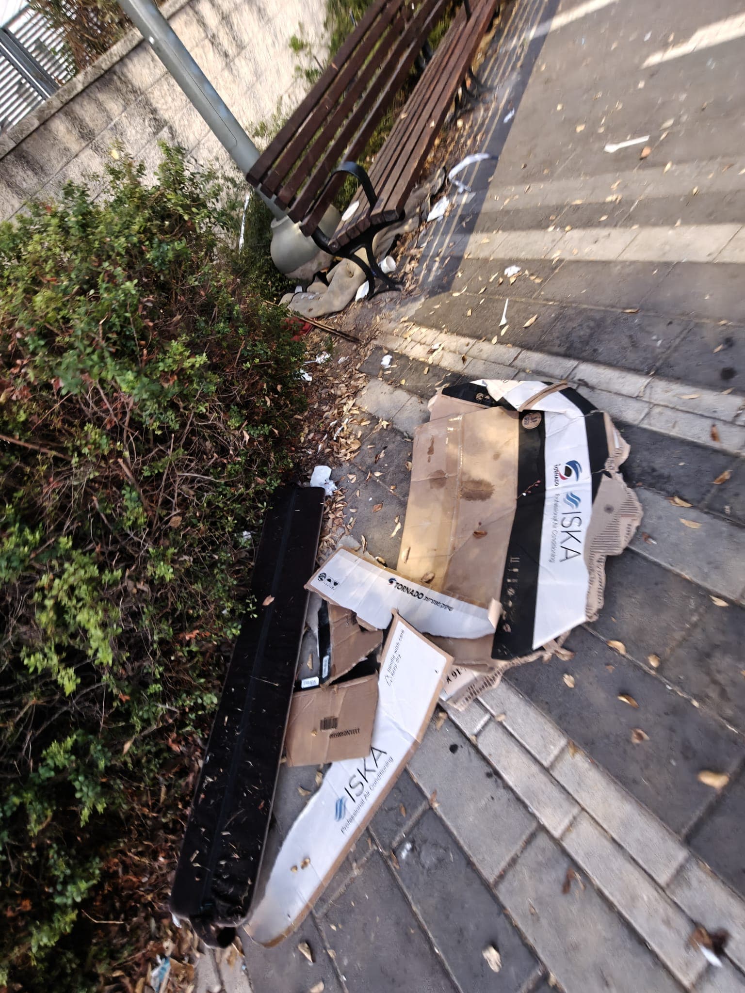 פסולת על הרצפה בפארק