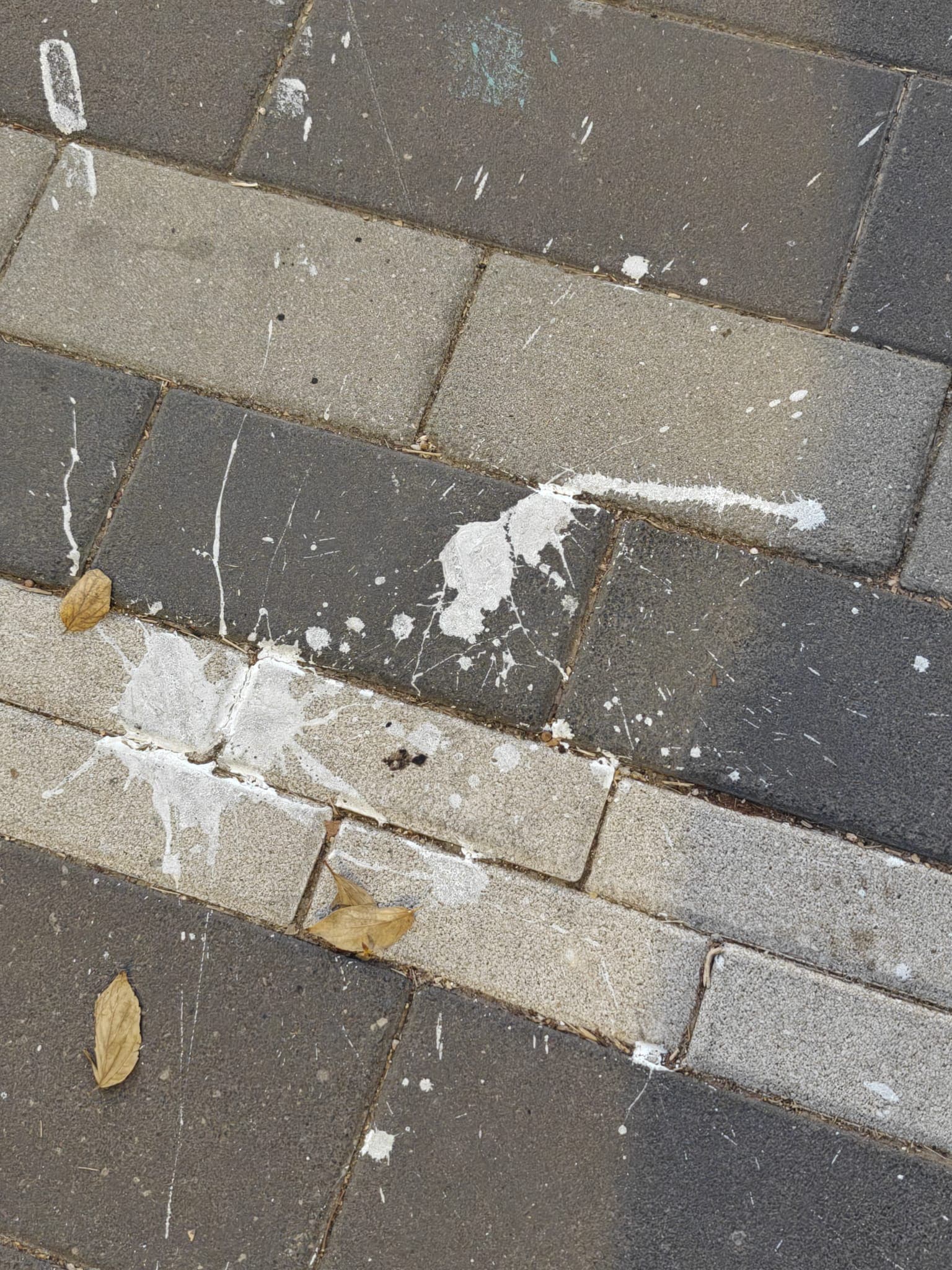 צבע נשפך על הרצפה