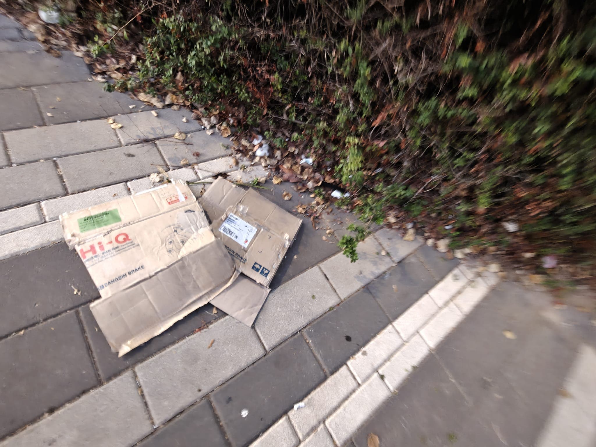 פסולת מפוזרת בפארק