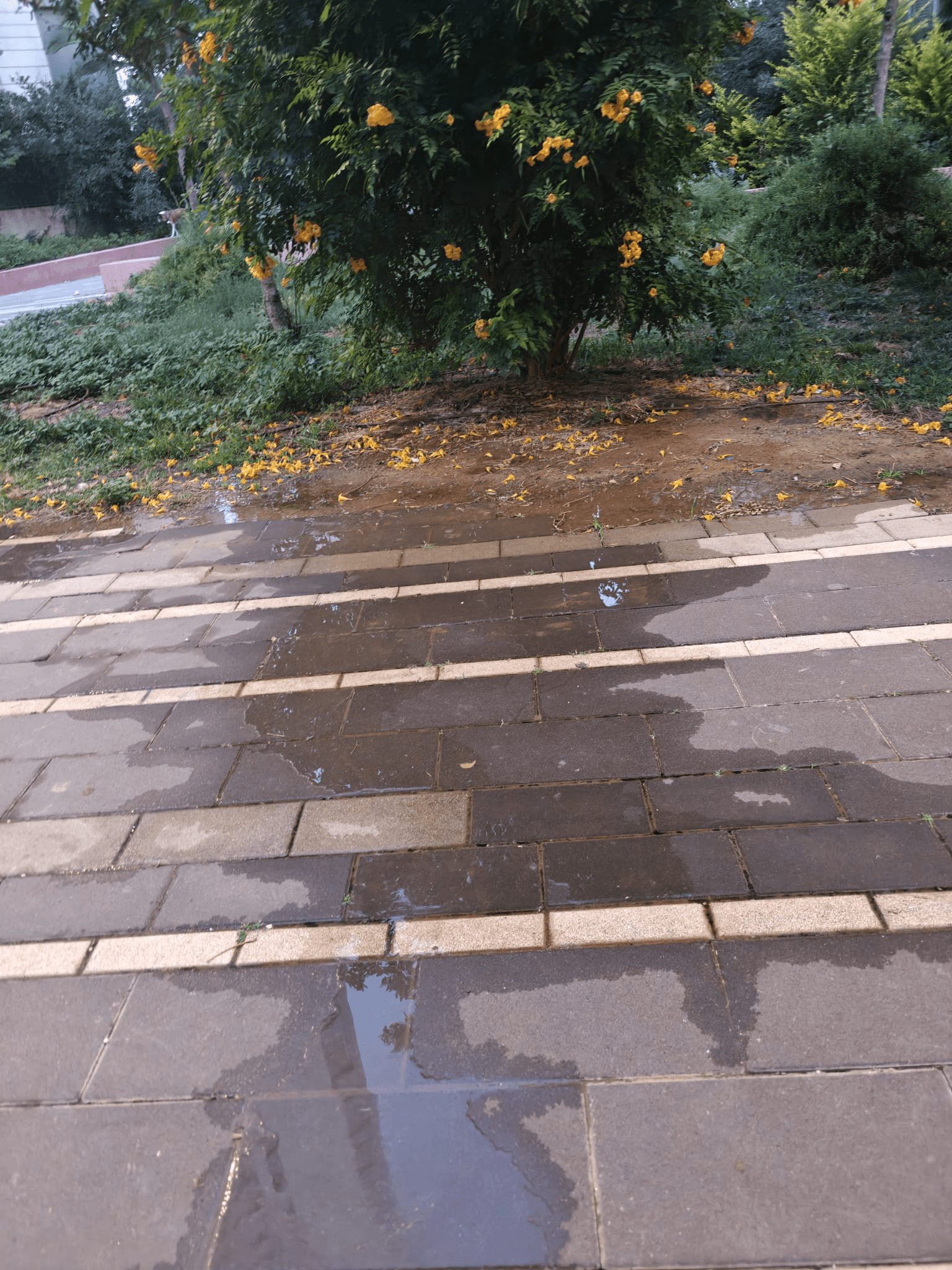 מים על הרצפה - תשתיות פגומות