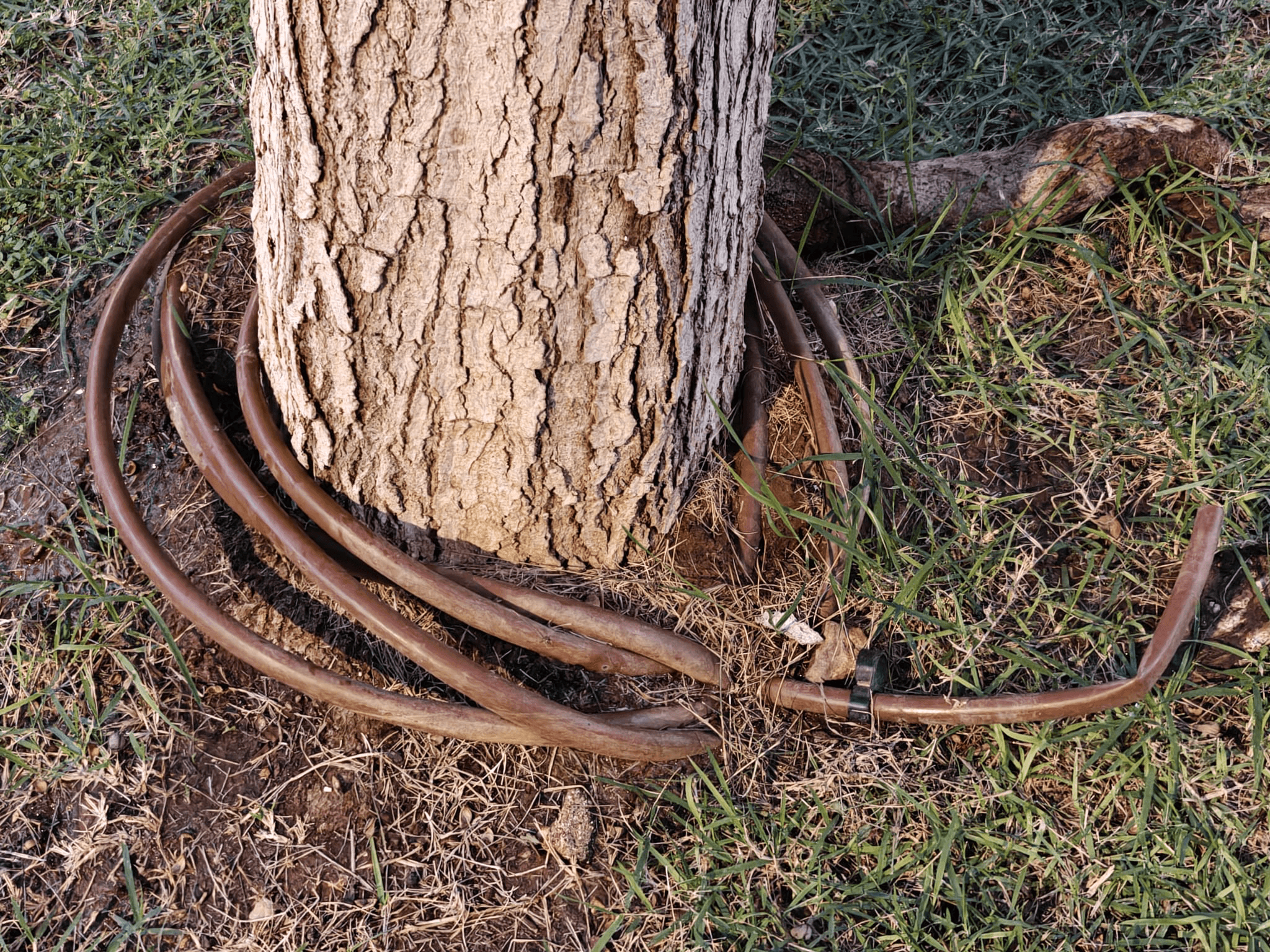 מערכת השקיה שגורמת להצפה